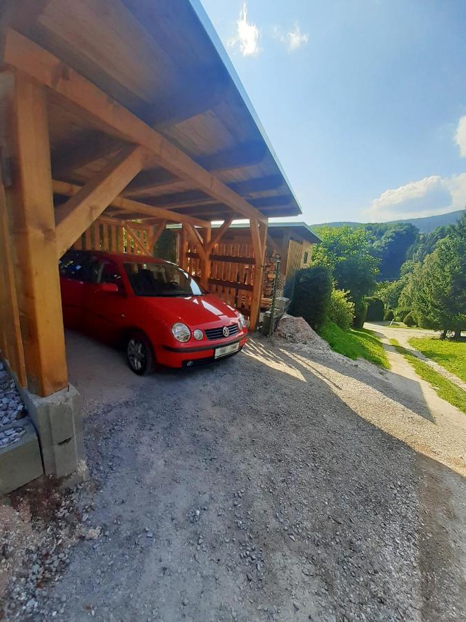 Chata U Lesa Svoboda nad Úpou Buitenkant foto