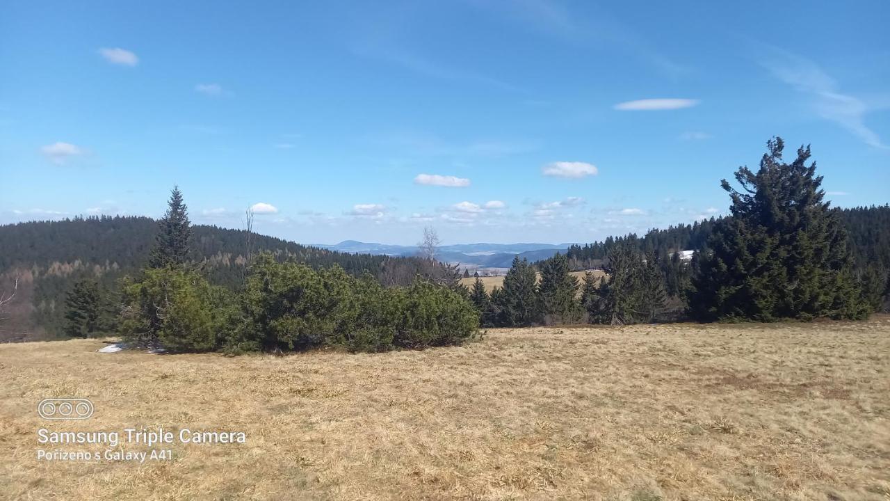 Chata U Lesa Svoboda nad Úpou Buitenkant foto